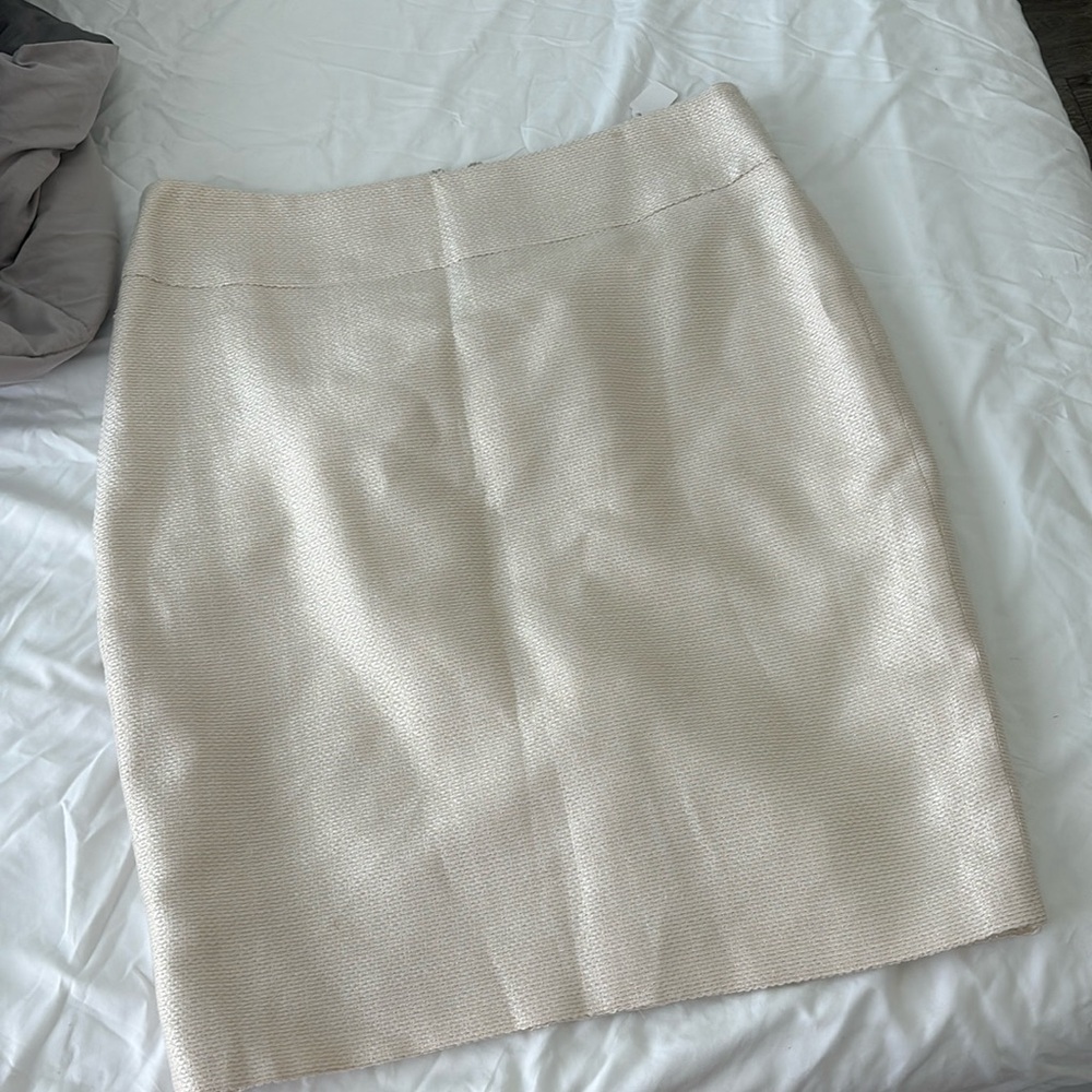Ann Taylor skirt